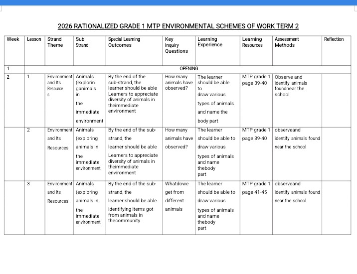 Grade 1 Environmental Schemes Term 2